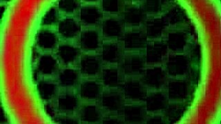 horny nympho carmen valentina foot fucks her pussy on cam with a dildo 😈