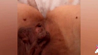 Heyy, Greta farts in bathroom then cozies under blanket!