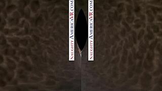 Naughty America VR With Kenna James And Veronica Weston