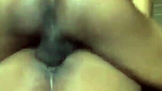 Monkey Missionary Action with Curvy Wifey on Top