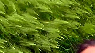 Tattooed Girl Performs Deep Throat Blowjob in Outdoor Field. POV View of Her Big Tits.