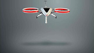 Nudist Christmas tree sparks curiosity at Czech beach with hidden cam