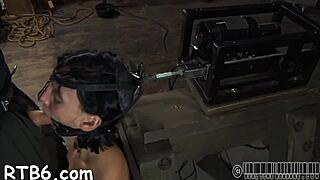 Gal Receives A Neck Collar And Legs Widen