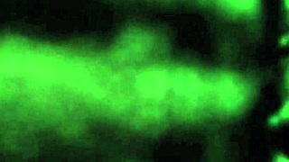 Retro Blue Film Preview From November 2019 Captures Classic Erotic Moments In Vivid Detail