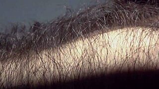 Louivmane Hairy Gay Bear Body Tour Compilation