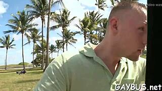 Gay Bear Movie Scenes