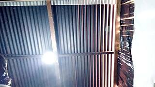 sucking american cock with saliva, clinging like nursing