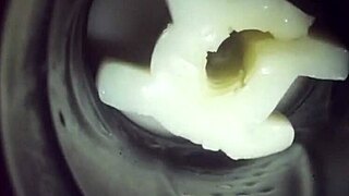 ever wonder what’s inside my fleshlight with a sticky creampie?