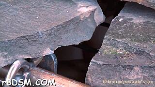 لعبة الأرنب