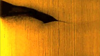 Just stumbled upon some cool vintage erotic drawings today.