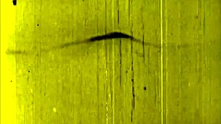 Vintage Erotic Illustrations Of Antique Anime Cartoons