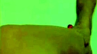 i show my sexy legs then masturbate my wet pussy, oh god