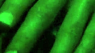 i really enjoy these hentai animations