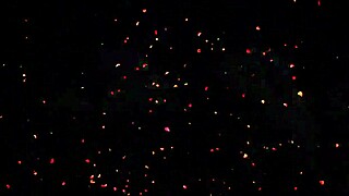 Hmv D Va Vs Widowmaker In 3D Cartoon Hentai