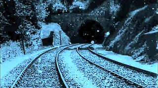 Wow, vintage animation with wild animal action blows my mind!