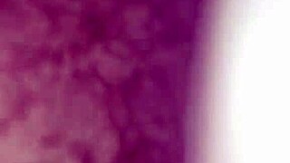 willy and jesse hang out with matthew