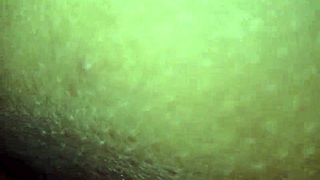 sweet amateur asian pussy fucking in intimate homemade session