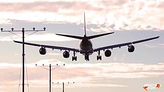 Have you dreamed of fucking a stranger in the next airplane seat? She offers her big ass for worship, wet pussy for licking, and positions from doggystyle to missionary.