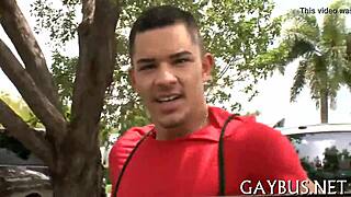 Free Gay Porn Episode Featuring Hardcore Action and Big Cocks