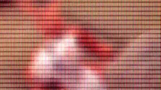 Crazy furry fucks with big tits and monster cock!