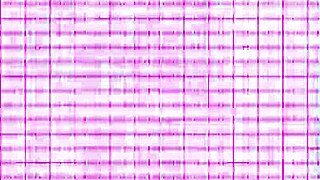 Crazy furry fucks with big tits and monster cock!