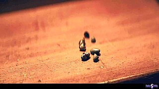 I Watched a Mysterious Creature Turn Lexi Lore and Melody Marks into Wild Beasts