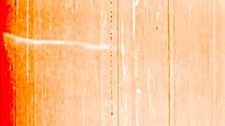 Vintage Erotic Drawings with Sultry Retro Vibes