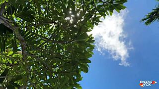 sweetie fox, diana rider, arina fox, and molly mad explore tight wet pussies in gardens of eden group blowjob scene!