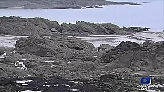 Dolly Golden, Blonde with Big Tits, Assfucked by Friend’s Husband