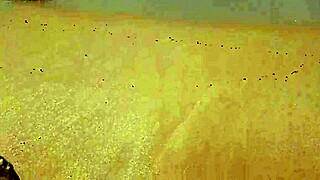 Yuri Gaucho Casal Paradise Gostosa Casada Mostrando Tudo Na Praia De Nudismo Os Macho Tudo Loucos!