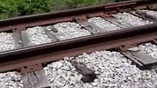 Fisherman showers stripper