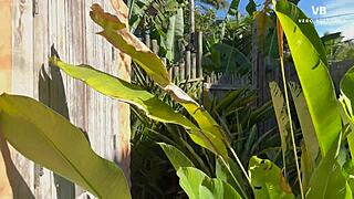 redhead latina real estate agent accepts indecent proposal