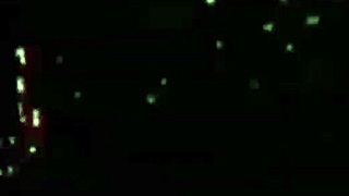 Brunette Novinha Licks and Gets Pussy Eaten