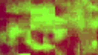 My wife and I share some amateur fun together