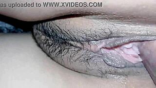 horny neighbor wants to play