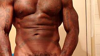 Hey Hallelujah Johnson, can I take you home after subscribing to your BBC channel?