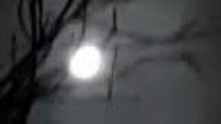 hey, village girl is masturbating in the barn 😍