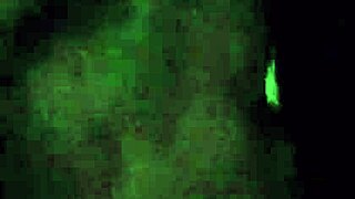 Intense Cum in Wife's Mouth