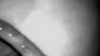 Amateurs dive into raw anal assfucking action