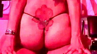 qadesh amateur rides hard in the gym