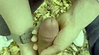 stop hiking for outdoor sex in a public park adventure