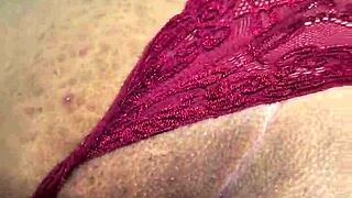 Moray Eels Have Intense Captivating Looks