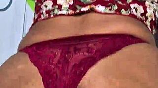 Moray Eels Have Intense Captivating Looks