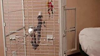 Phoebe Kalib, teen beauty, rides massive interracial cock for ultimate satisfaction