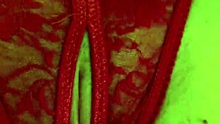 Shaved pussy in red thongs gets wet from fingering. Can't stop touching myself!