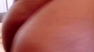 Nigarchrist Update 1267 Petal May 29 2025