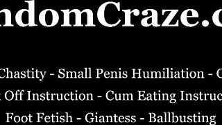 Take me shopping now, or I'll kick your balls and humiliate you!