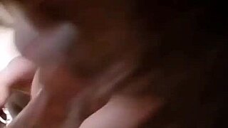 nigarchrist's petal update 1362