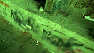 Public Agent, how does Alexa handle that big dick throat job outdoors?