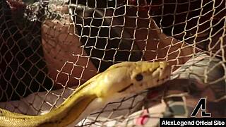 Dominating Hottie Nicole Aniston Rides Minotaur Legend with Big Cock